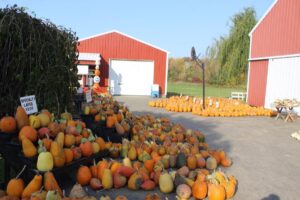 Anderson's Pleasant Patch Pumpkins photo